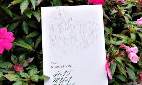 Những quả thơ của Ngọc Lê Ninh