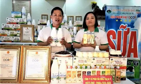 Hà Nội: Hàng vạn người tham gia "Chợ đêm trên mây" kết nối trực tuyến sản phẩm OCOP và đặc sản vùng miền giữa mùa dịch