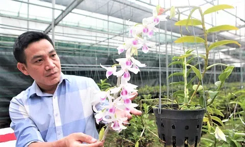 Phát triển Nông nghiệp đô thị bền vững - một số vấn đề cần đặt ra