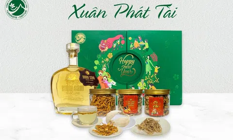 Mứt sâm dây ngọc linh món ăn đặc biệt ngày tết