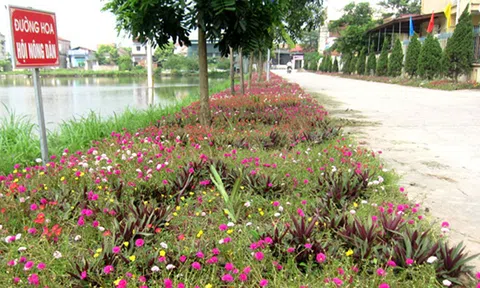 Phú Xuyên - Hà Nội: Nỗ lực xây dựng nông thôn mới nâng cao cải thiện đời sống người dân