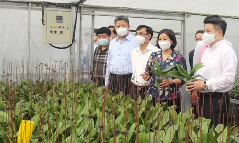 Hà Nội: Huyện Thanh Oai xây dựng nông thôn mới nâng cao cần tiệm cận với các tiêu chí đô thị