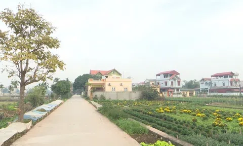 Thường Tín - Hà Nội: Nhiều đổi thay nhờ xây dựng Nông thôn mới nâng cao 
