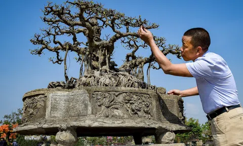 Triển lãm Sinh Vật Cảnh Thủ đô năm 2022 thành công tốt đẹp