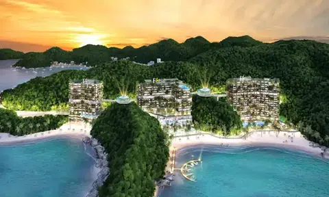 ​​​​​​​Kinh nghiệm nghỉ dưỡng tại Flamingo Cát Bà Resort mà bạn nên biết