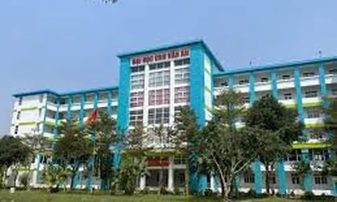 Trường Đại học Chu Văn An: Trường Việt vươn tầm Quốc tế