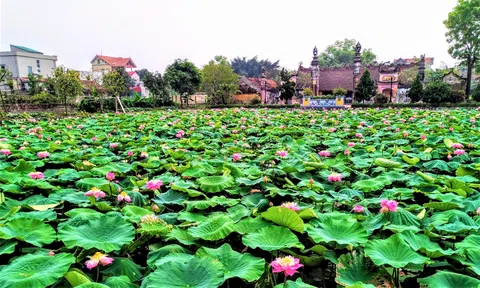 Hà Nội triển khai các giải pháp để thúc đẩy phát triển làng nghề nông thôn