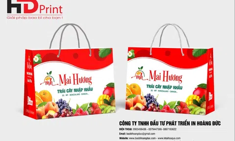 In túi đựng hoa quả - Nâng tầm nông sản Việt Nam