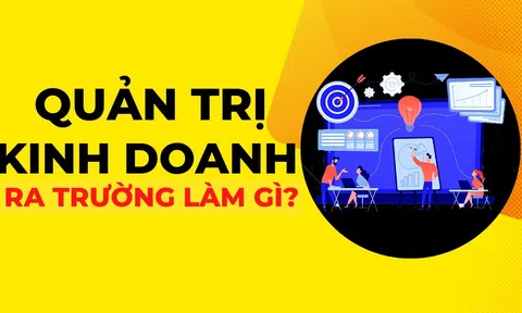 Ngành Quản trị kinh doanh: Học gì, ở đâu, và cơ hội nghề nghiệp