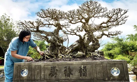 Xuất lộ tác phẩm Sanh cổ Song Long Tọa Thạch