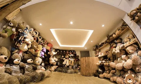 Mua gấu bông đẹp tại shop gấu bông hcm