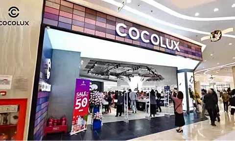 COCOLUX - Xây dựng văn hóa doanh nghiệp là chìa khóa quyết định cho sự thành công