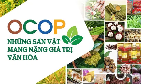 Hà Nội tiếp tục phát triển bền vững các sản phẩm OCOP gắn với văn hoá vùng miền