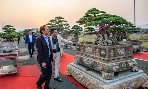 Mãn nhãn hàng ngàn tác phẩm Sinh Vật Cảnh tại Festival Sản phẩm Nông nghiệp và Làng nghề Hà Nội lần thứ hai năm 2022