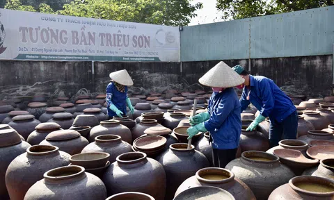 Tương bần Triệu Sơn được người dùng tin tưởng và yêu thích