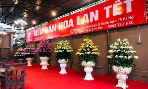 Hoa Lan Đỗ Nghĩa mang sắc Xuân đến với mọi nhà