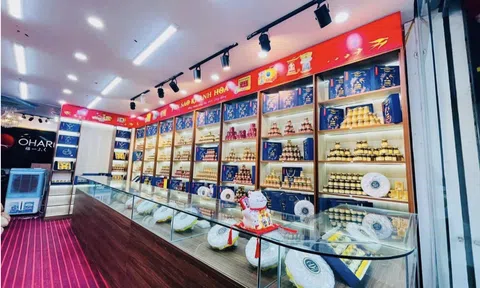 Bật mí câu chuyện ra đời của yến sào tự nhiên Natunest trên mảnh đất Khánh Hòa