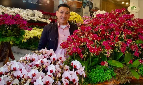 Hoa lan Hồ Điệp Đà Lạt lên ngôi trong dịp Tết Nguyên Đán Quý Mão 2023: Lý giải của các chuyên gia