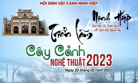 Ấn tượng Triển lãm Cây cảnh Nghệ thuật Ninh Hiệp 2023