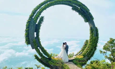 Đến núi Bà Đen để thưởng ngoạn "thiên đường" hoa rực rỡ