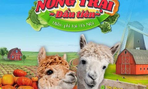 Công viên Thiên Đường Bảo Sơn tổ chức lễ hội Aloha Summer đồng thời ra mắt tổ hợp mới
