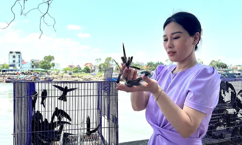 NSƯT Hương Giang chia sẻ về ý nghĩa của việc phóng sinh