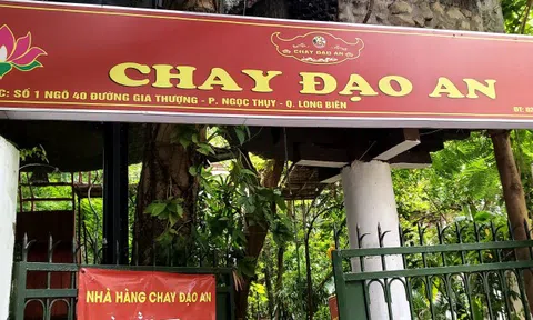 Chay Đạo An: TOP quán ăn chay nổi tiếng Hà Thành