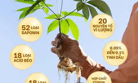 Sâm 1700 và niềm kiêu hãnh của mỹ phẩm thiên nhiên Việt Nam