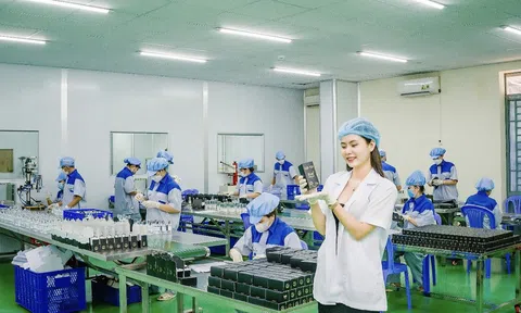 CEO Diệp Phương Linh - Thành công từ chính đam mê cùng sự cố gắng không biết mệt mỏi