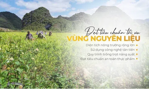Công ty CP quốc tế Cara: Mang thương hiệu Cara đến người tiêu dùng