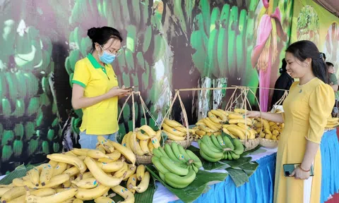 Đồng Nai: Cắt băng chúc mừng chuyến hàng chuối tuơi xuất khẩu đầu năm Quý Mão 2023
