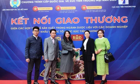 Kết nối giao thương giữa các hợp tác xã sản xuất trong ngành dược liệu với các doanh nghiệp xuất nghiệp và các tổ chức xúc tiến thương mai