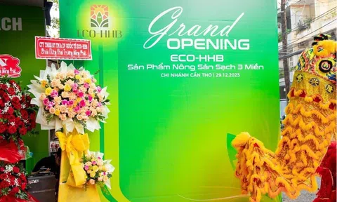 Founder & CEO Hồ Hồng - Hành trình mở rộng giá trị cộng đồng bền vững với ECO-HHB