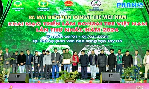 Ra mắt Diễn đàn Bonsai Tre Việt Nam