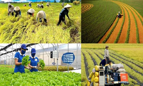 Hà Nội: Hỗ trợ phát triển sản xuất nông nghiệp cho đồng bào dân tộc và hộ nghèo, cận nghèo và hộ mới thoát nghèo