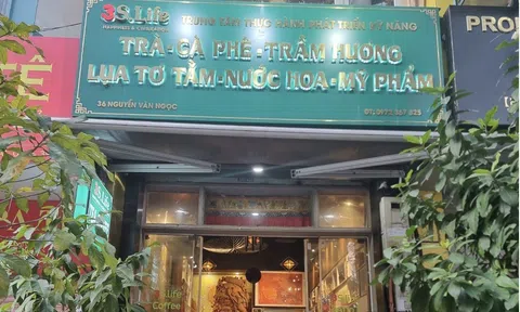 Viện Phát triển nhân lực thời đại mới: Từ Tâm vươn Tầm