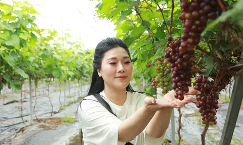 Làng So (Quốc Oai - Hà Nội): Nông thôn mới vẫn giữ hồn quê Việt