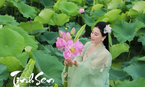 NSƯT Hương Giang ra bản Karaoke ca khúc Tình Sen