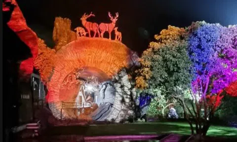 Ngôi nhà hình khúc gỗ 102: Điểm du lịch hấp dẫn, độc đáo ở Hải Phòng