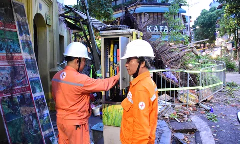 EVNHANOI ứng phó các thiệt hại trước hoàn lưu bão số 3