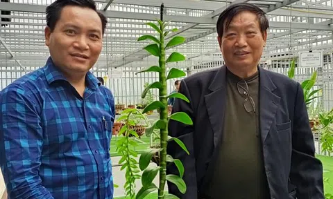 Nghệ nhân Dương Văn Lập: Cần tăng cường liên kết để phát triển bền vững ngành hoa lan Việt Nam