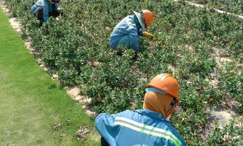 Công ty TNHH Thiên Kim Nature khẳng định thương hiệu