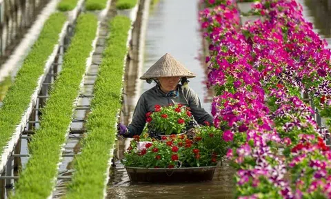 Tỉnh Đồng Tháp: "Tình đất - Tình hoa" - Festival hoa Sa Đéc 2024