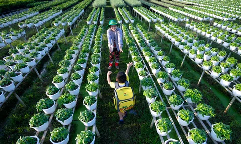 PVCFC ra mắt báo cáo phát triển bền vững 2024: Bước tiến đột phá trong chuẩn mực quốc tế và mục tiêu Net Zero