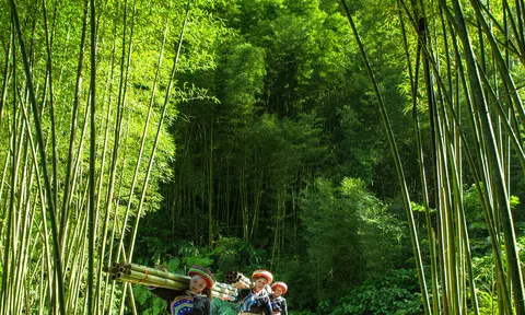 Thượng Minh - Vẻ đẹp nguyên sơ giữa miền sơn cước Thái Nguyên