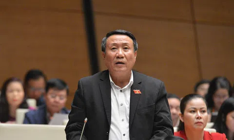 Đại biểu Hà Sỹ Đồng: Cần cơ chế đặc thù để triển khai Dự án Điện hạt nhân Ninh Thuận