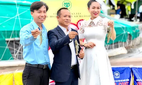 Hoa hậu – Tiến sĩ Võ Thị Ngọc Giàu dành trọn tâm huyết vì sự phát triển của ngành tôm