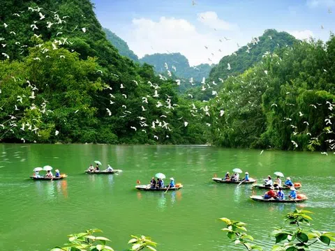 Ninh Bình: Thung Nham - "Bản giao hưởng" của đại ngàn và kỳ tích chim muông