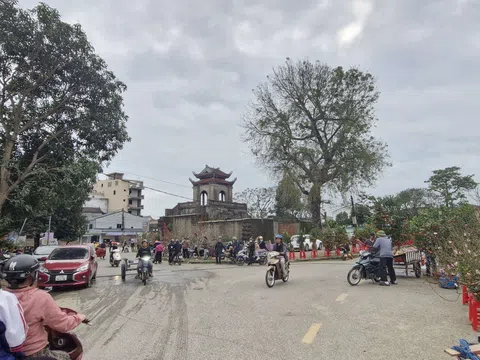 Nghệ An: Nhộn nhịp chợ Tết hoa cây cảnh thành cổ Vinh