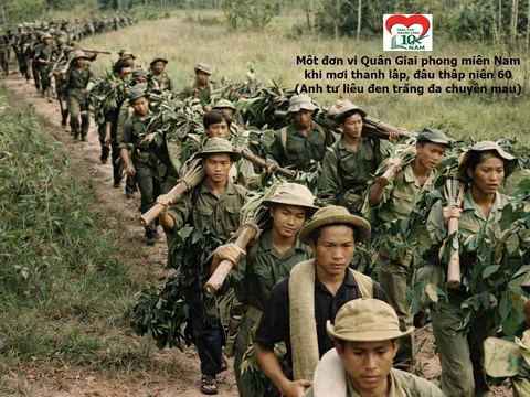 Hồ sơ Số 04/2026: Khoảng 200 liệt sĩ đã hi sinh tại Làng Bảy - Lộc Ninh, tháng 7 năm 1968. Có thể có ngôi mộ tập thể tại đây?